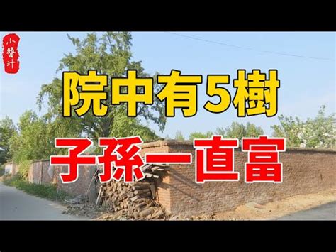 桃花枝 風水|【桃花樹風水】桃花樹風水：古代風水禁忌與現代居家桃花指南